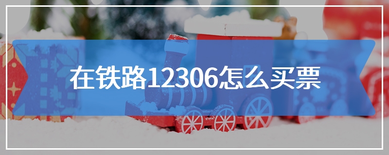 在铁路12306怎么买票