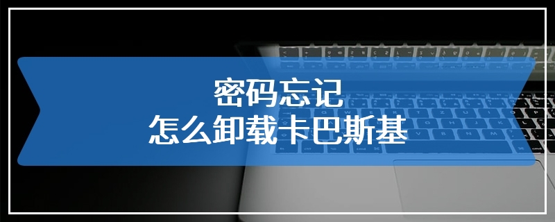 密码忘记怎么卸载卡巴斯基