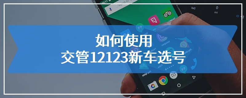 如何使用交管12123新车选号