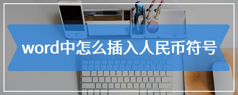 word中怎么插入人民币符号