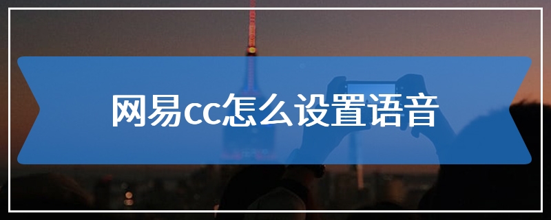 网易cc怎么设置语音