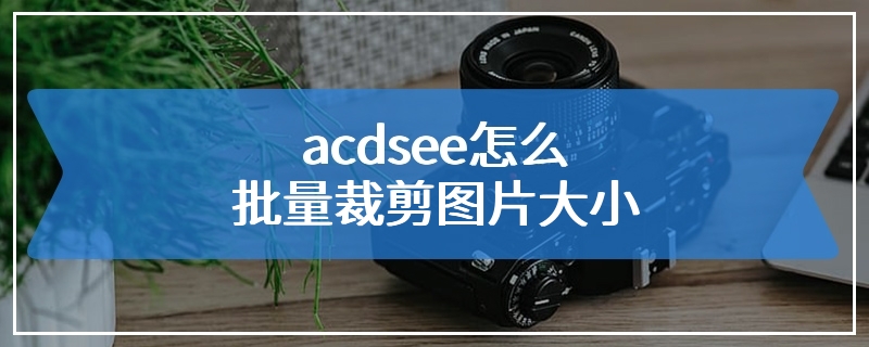 acdsee怎么批量裁剪图片大小