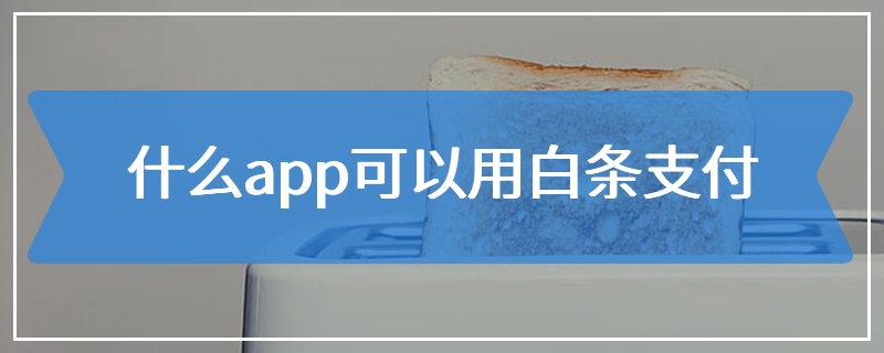 什么app可以用白条支付