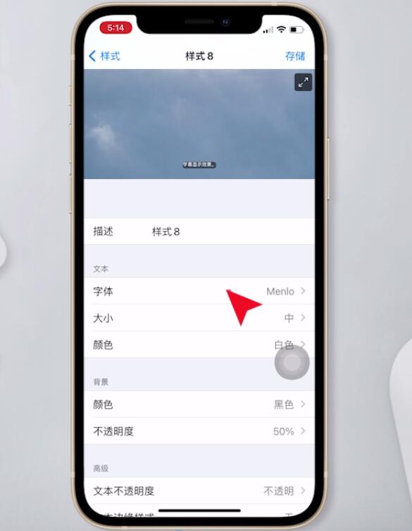 iphone怎么改字体(5)