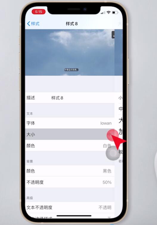 iphone怎么改字体(8)