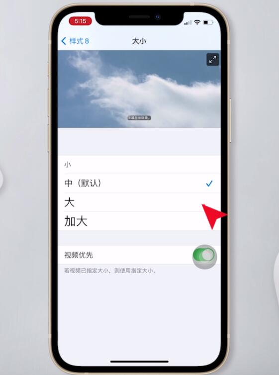 iphone怎么改字体(9)