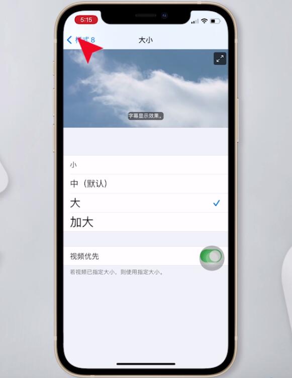 iphone怎么改字体(10)