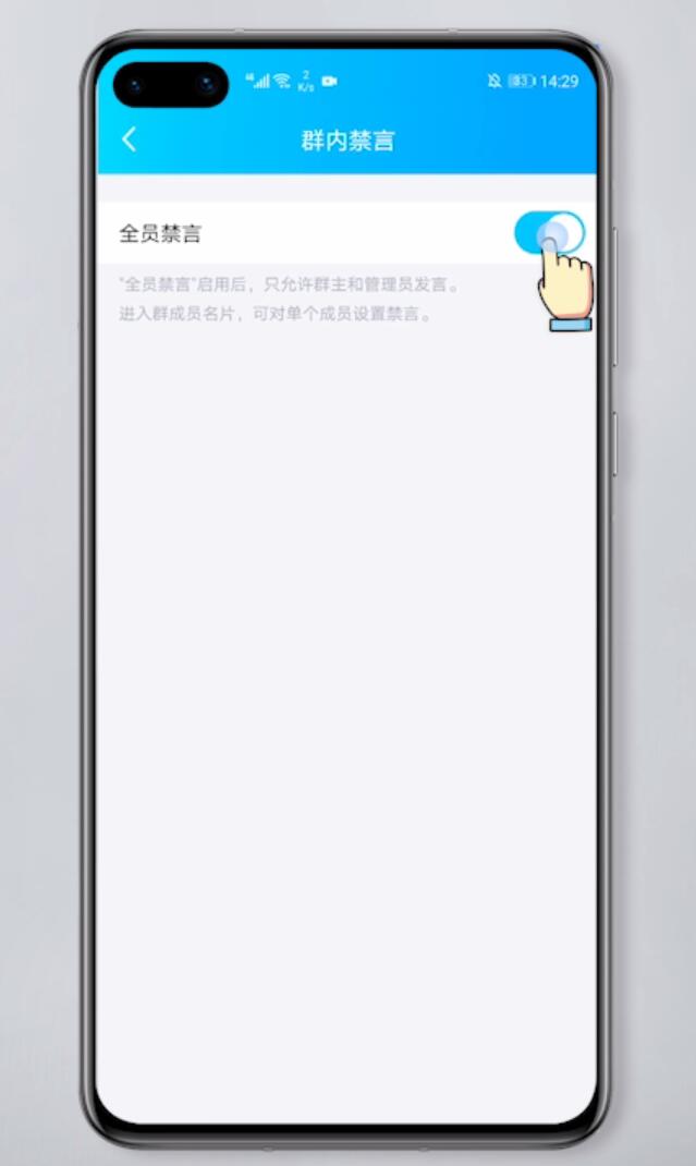 怎样解除群主在群中的禁言(5)