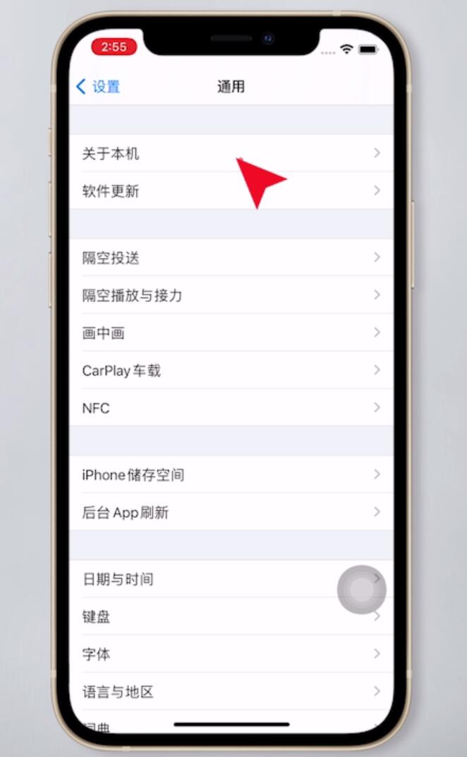 苹果型号怎么查询(2)