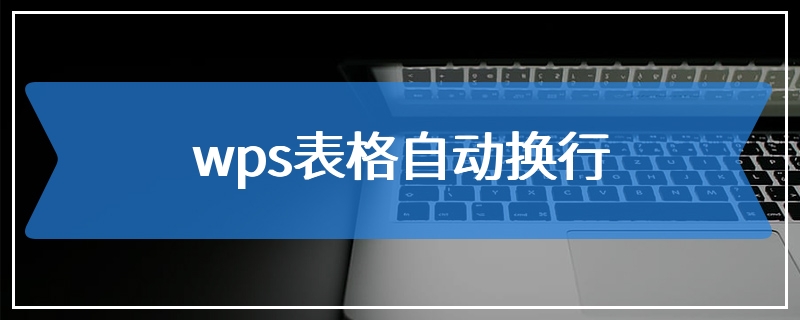 wps表格自动换行