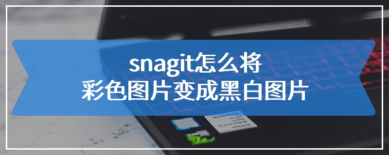 snagit怎么将彩色图片变成黑白图片