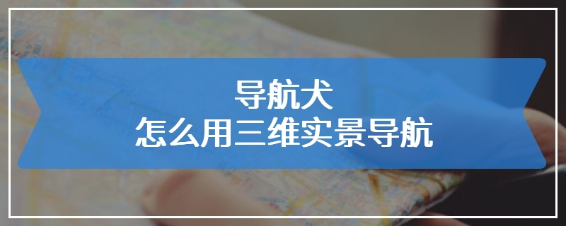 导航犬怎么用三维实景导航