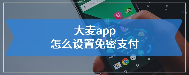 大麦app怎么设置免密支付