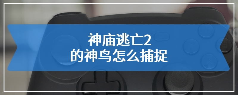 神庙逃亡2的神鸟怎么捕捉