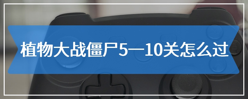 植物大战僵尸5一10关怎么过