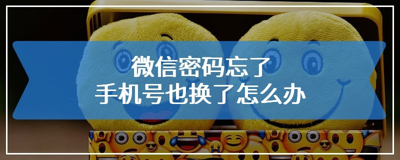 微信密码忘了手机号也换了怎么办
