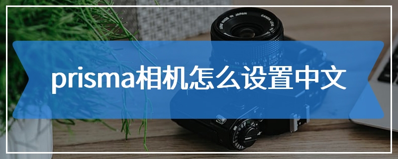 prisma相机怎么设置中文