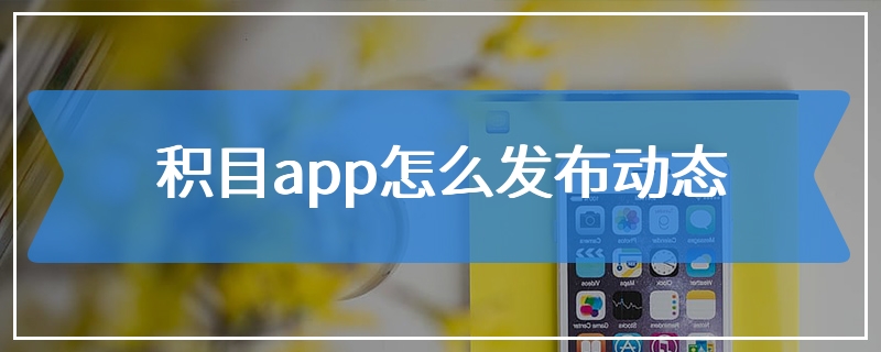 积目app怎么发布动态