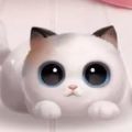 天猫养猫v1.0.0