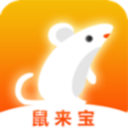 鼠来宝v1.3.31