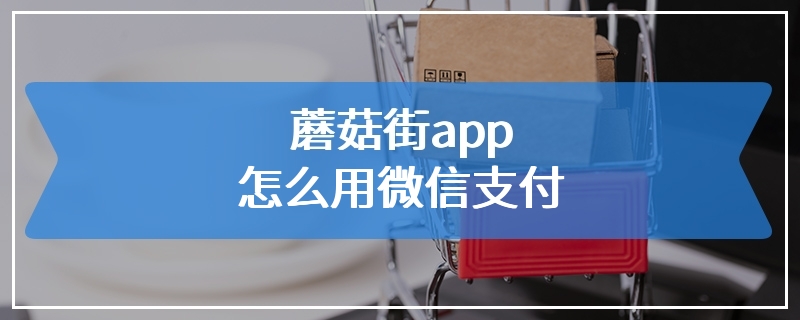 蘑菇街app怎么用微信支付