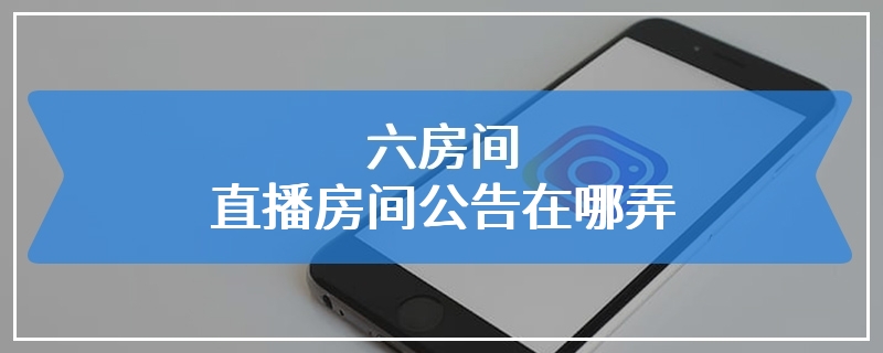 六房间直播房间公告在哪弄