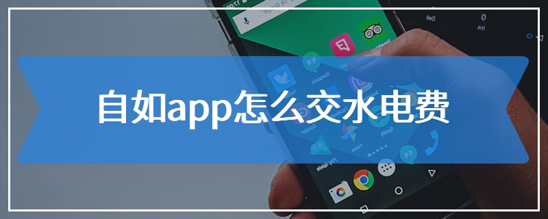 自如app怎么交水电费