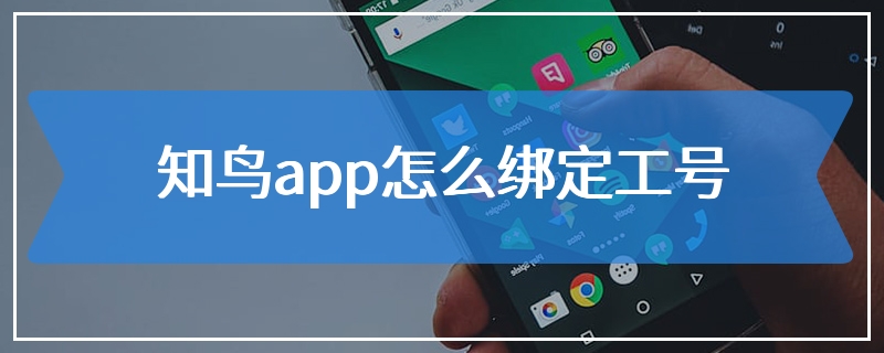 知鸟app怎么绑定工号