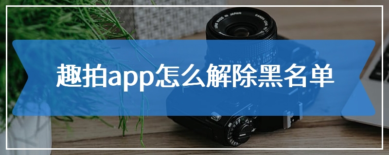 趣拍app怎么解除黑名单