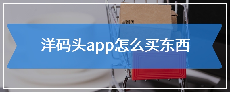 洋码头app怎么买东西