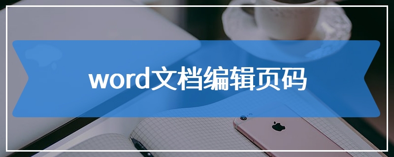 word文档编辑页码