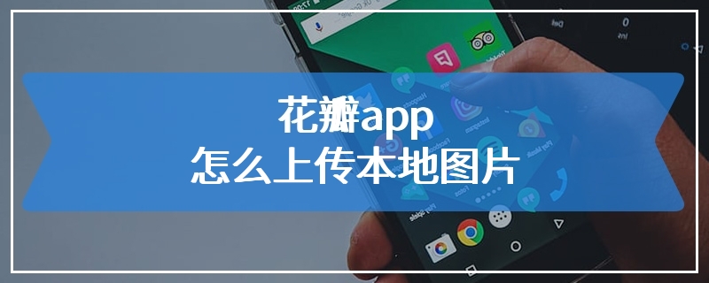 花瓣app怎么上传本地图片