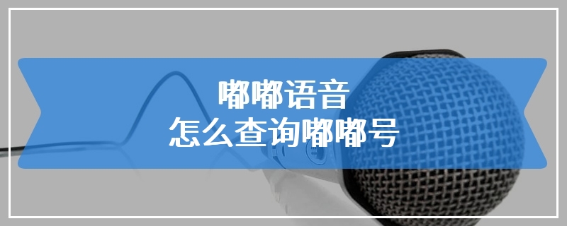 嘟嘟语音怎么查询嘟嘟号