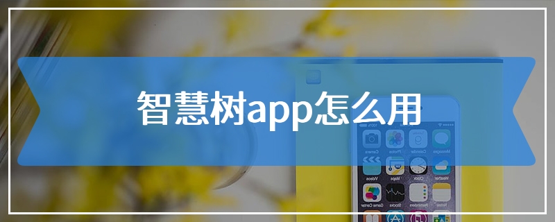 智慧树app怎么用