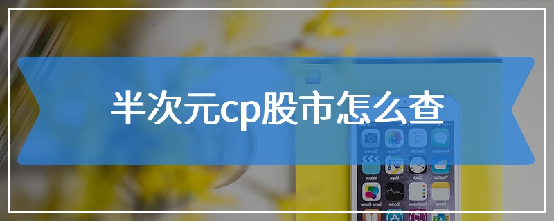 半次元cp股市怎么查