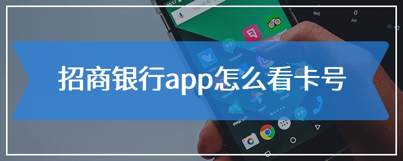 招商银行app怎么看卡号