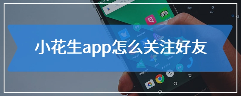 小花生app怎么关注好友