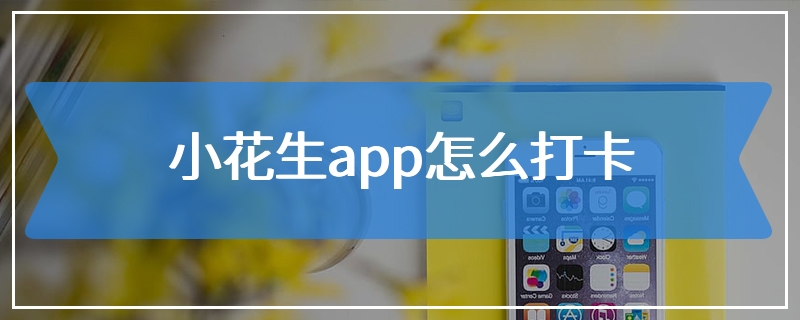 小花生app怎么打卡