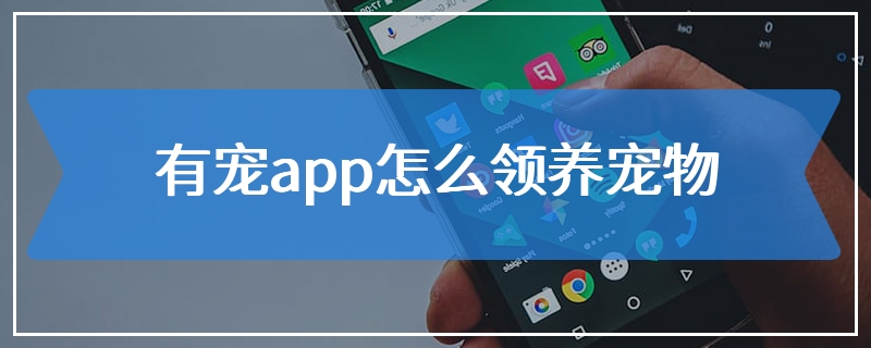 有宠app怎么领养宠物