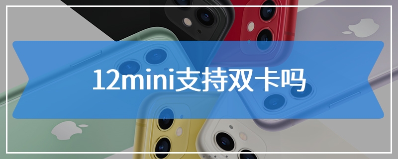 12mini支持双卡吗