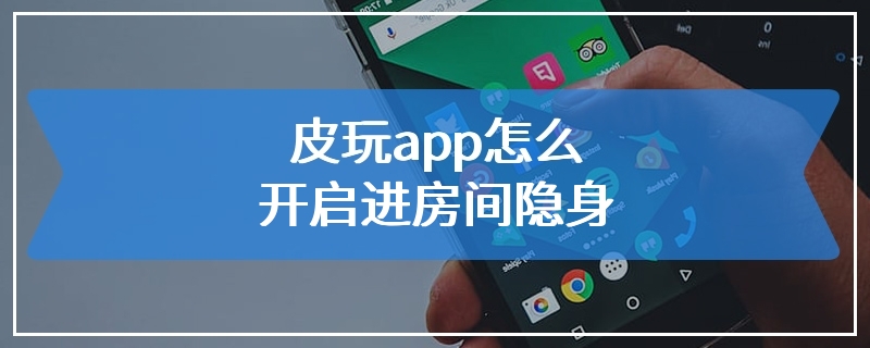 皮玩app怎么开启进房间隐身