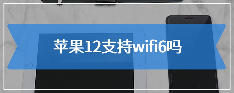 苹果12支持wifi6吗