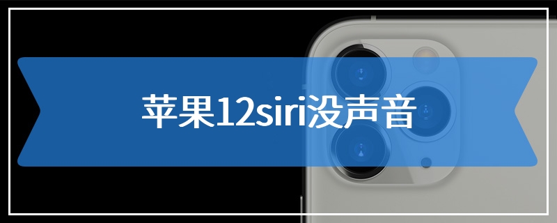 苹果12siri没声音