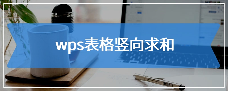 wps表格竖向求和