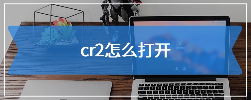 cr2怎么打开