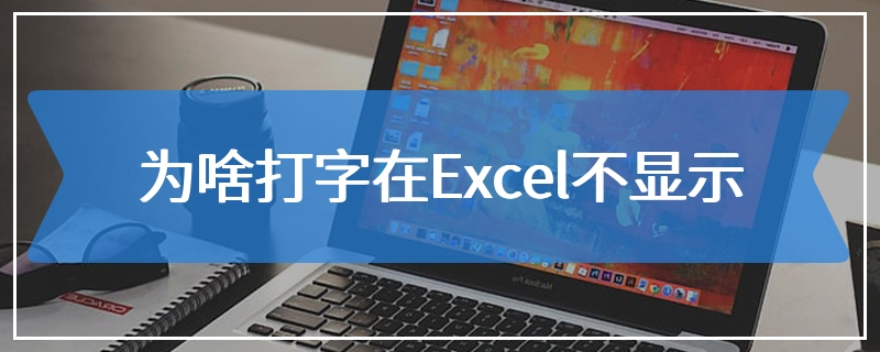 为啥打字在Excel不显示