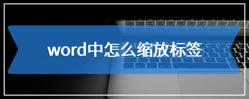 word中怎么缩放标签