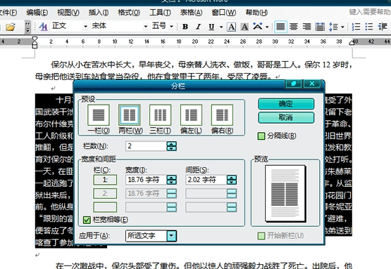 电脑Word分栏怎么用(4)