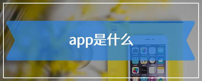 app是什么