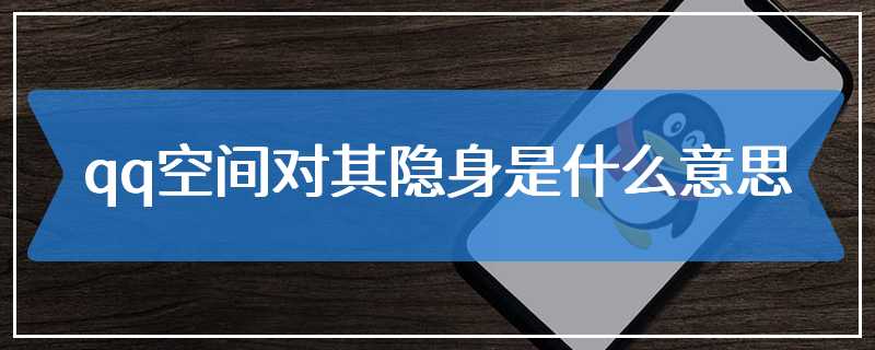 qq空间对其隐身是什么意思